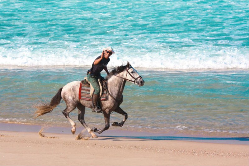 travel insurance for horse riding